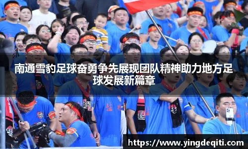 南通雪豹足球奋勇争先展现团队精神助力地方足球发展新篇章